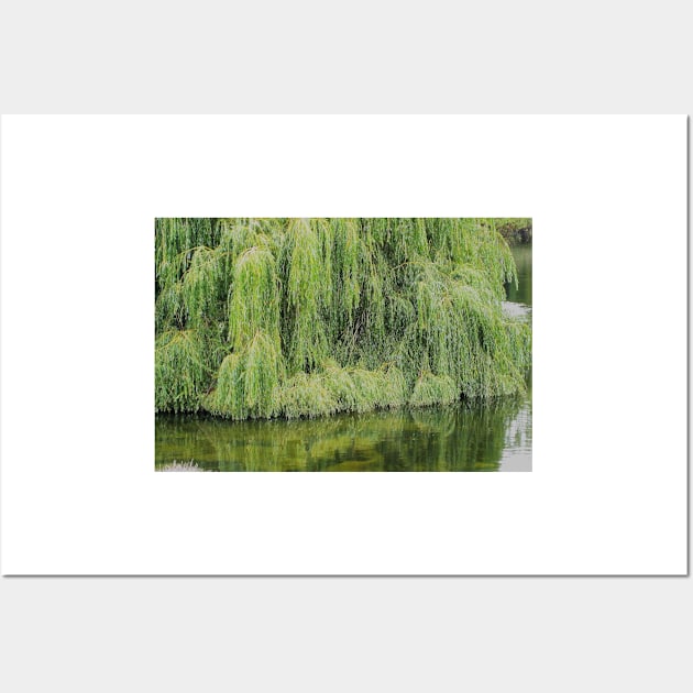 London Park Willows. 2009 Wall Art by IgorPozdnyakov